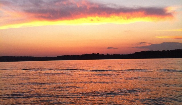 Newly built, open-concept spacious home by the water. 10 minutes to the track.