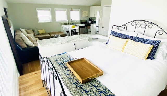 Newly Built Private Large Studio Apt in Arlington