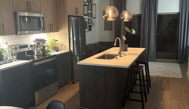 Newly Built Townhome in Charming Kenton Neighborhood