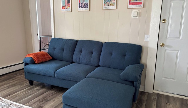 Newly Furnished and Renovated Apt 3