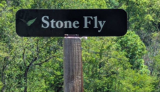 Newly Furnished Mountain Retreat: Stone Fly Getaway near Tuckasegee, WCU & Sylva