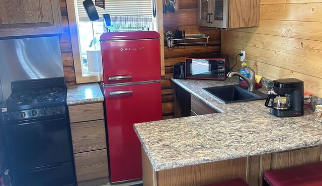 Newly listed modern studio Cabin Near Downtown Tok