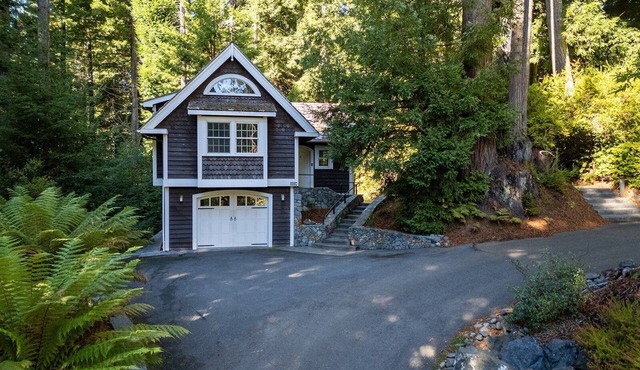 🌲 Newly Mgmt! Serene Redwood Retreat: Idyllic redwood views in spacious studio home