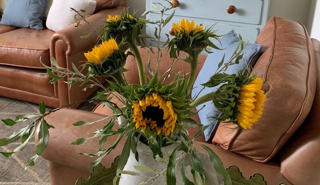 Newly refurbished, fabulous village location