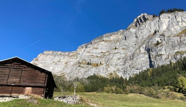 Newly refurbished flat in the heart of Flims