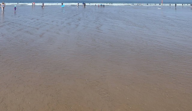 Newly refurbished private rural hideaway, log burner, private secure garden