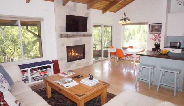 Newly Remodeled Close to everything in Snowmass Village (203090-2371)