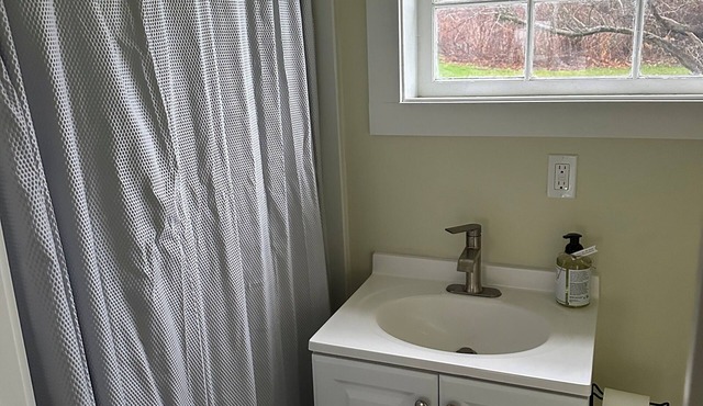 Newly remodeled 1-bedroom lakeside cabin in Anacortes perfect for 1 or 2 people