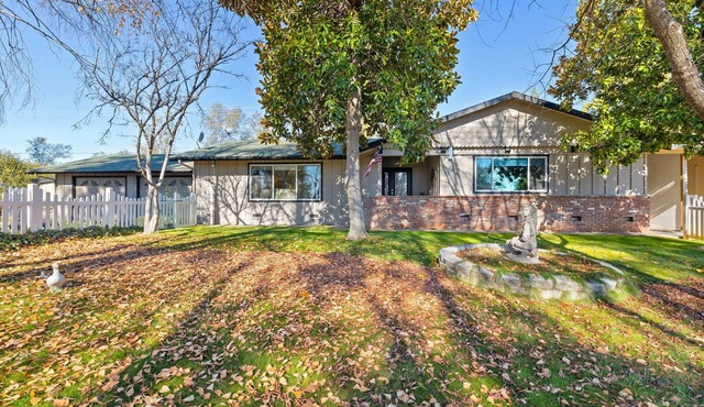 Newly remodeled 3 bedroom home with back yard and parking.