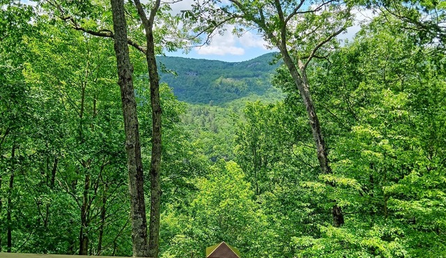 Newly remodeled 3-bedroom house with private hot tub, in welcoming Lake Toxaway.