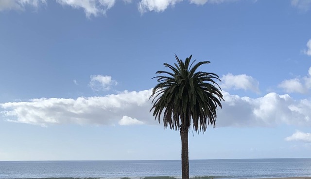 NEWLY REMODELED BEACH FLATnPanoramic Ocean Views- Just steps to the Beach