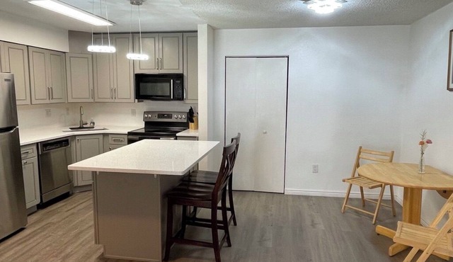 Newly remodeled condo for travel professionals and interns