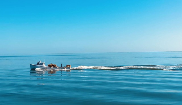 NEWLY REMODELED COZY APARTMENT with WATER VIEWS & AMAZING SUNSETS in CRISFIELD!