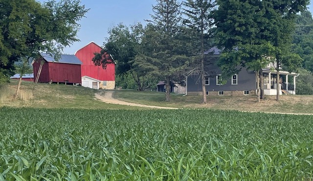 Newly remodeled Farmhouse with Country Charm!nSleeps 10 people comfortably