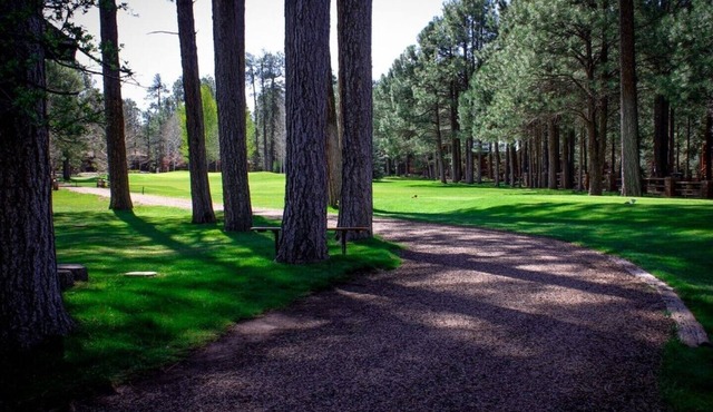 Newly remodeled, fully furnished condo located near Pinetop Country Club