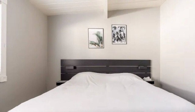 Newly Remodeled Modern Furnished SFH in Bay Area