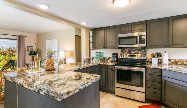 Newly Remodeled Ocean View Condo, 2 bedroom, 2 bath, No stairs!