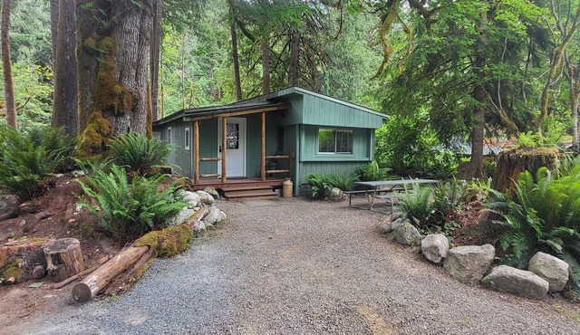 Newly remodeled off grid river cabin with full services including WiFi