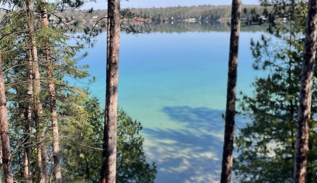 Newly Remodeled! Peaceful and Private Lakefront, The Avalon Sunshine Cottage