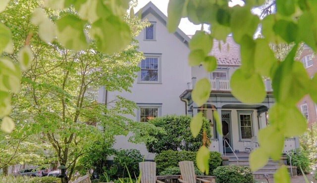 Newly remodeled basement apt just two blocks from the downtown mall - 2 miles to hospital