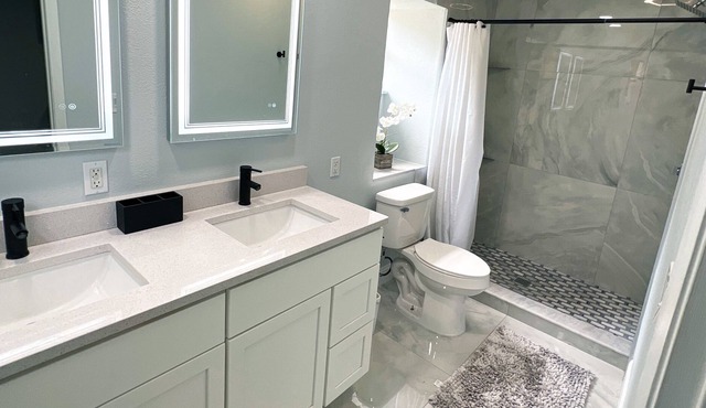 NEWLY REMODELED MODERN HOUSE WITH DOUBLE LOT YARD