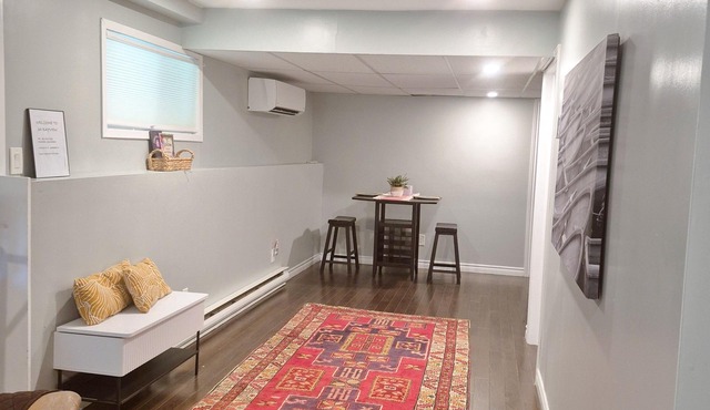 Newly Renovated Basement Travellers Suiten