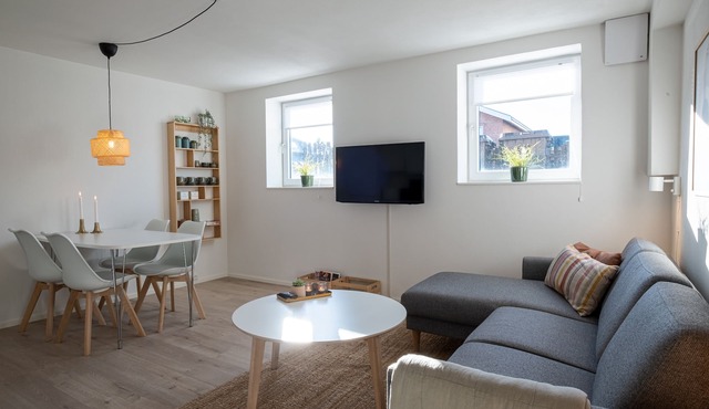 Newly renovated 1-Bed Apartment in Aalborg