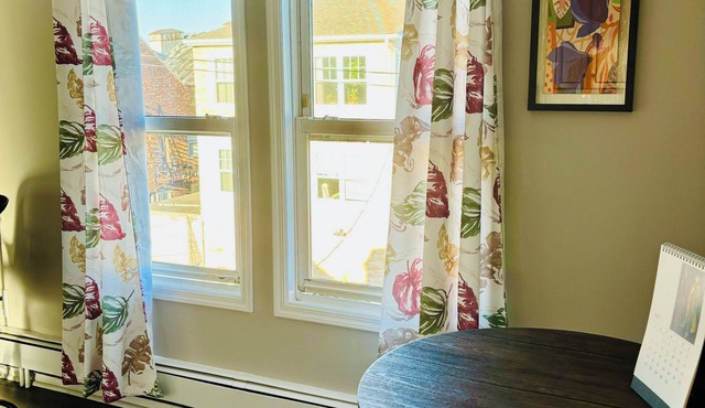 Newly renovated 1bed Apt in the heart of the Iron Bound