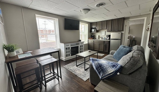 Newly renovated 2 bdrm apartment in downtown (24)