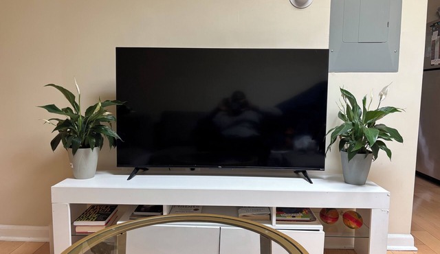 Newly Renovated 2BR 2BA DC Skylight Loft Near Union Market & H St Corridor!