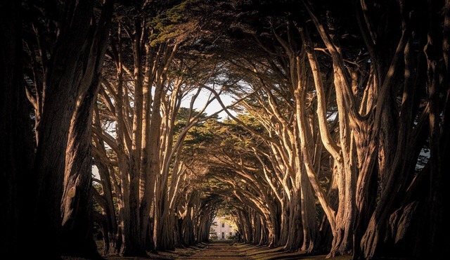 Newly Renovated All-Suite Hotel in Palo Alto Near Stanford