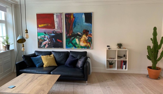 Newly renovated and historical preserved apartment