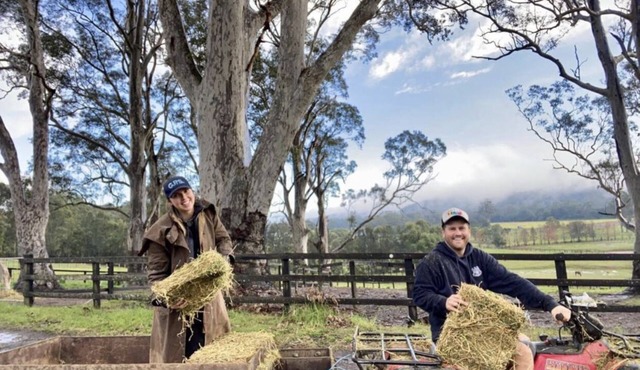 Newly Renovated Apartment on stunning Arabian Horse Stud