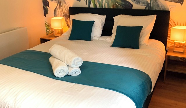 Newly renovated apartment with terrace and garden