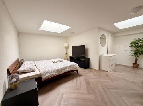 Newly renovated Apartment in Basel ad Basel Card