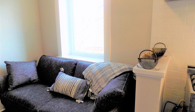 Newly Renovated "Arctic Rose" Loft in Historic Florence