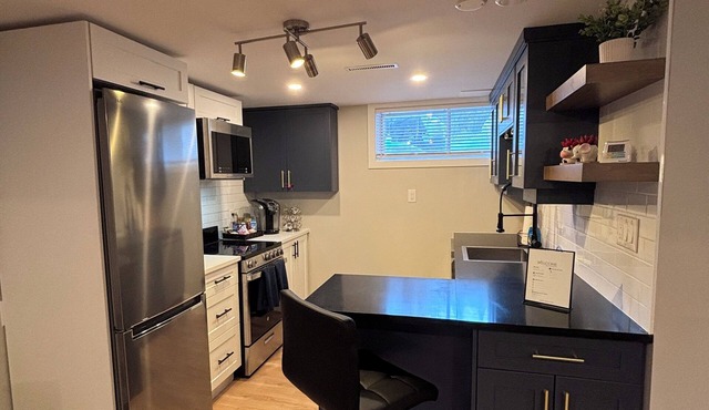 Newly renovated basement apartment