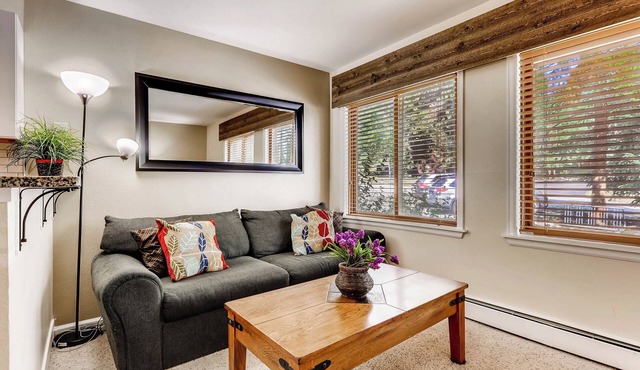 Newly Renovated Building-1 Bedroom Condo. Recent Updates, Ski In, Walk to Main S
