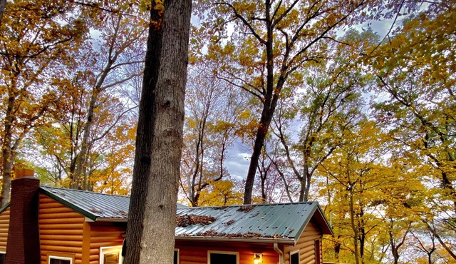 Newly renovated cabin nestled off the beaten path