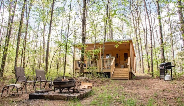 Newly Renovated Cabin On 18 Acres Near State Parks, Trails, and Waterfalls