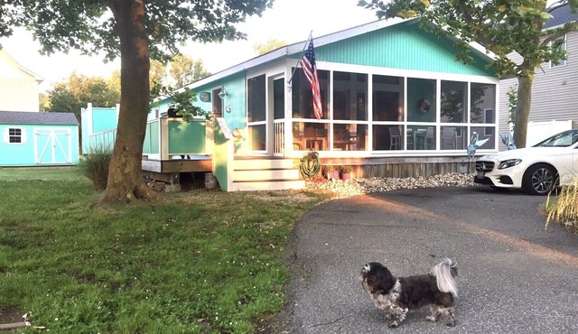 Newly Renovated Cozy Cottage In Family Friendly Community
