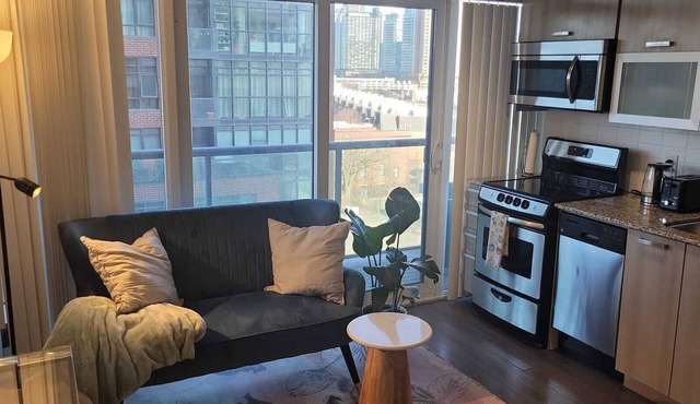 Newly Renovated Condo in Downtown Toronto