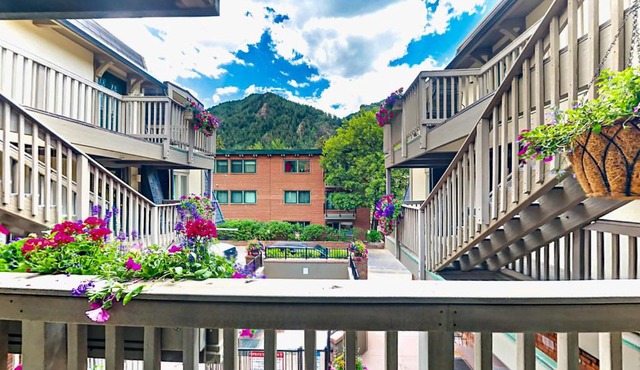 Newly Renovated Condo with Hot Tub - Excellent Downtown Aspen Location