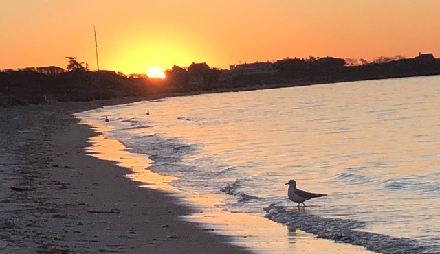 Newly renovated Cottage Across the street from Craigville Beach.