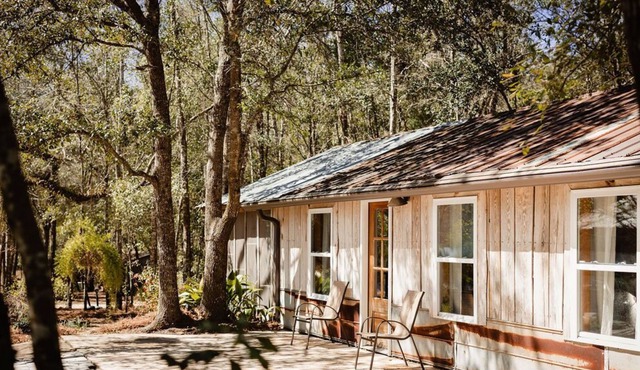 Newly renovated cottage on a quaint lake with ancient oak trees & ample privacy.