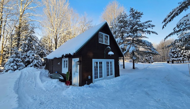 Newly Renovated Cozy Cottage with Wood Burning Stove - Sleeps up to 4