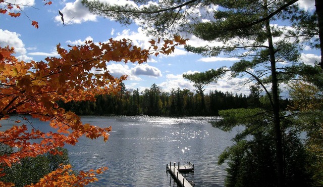 Newly Renovated Cute Cottage on Crooked Lake - aka, Baby Bear