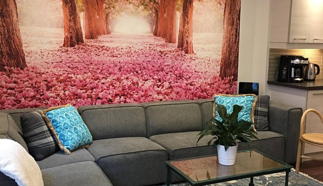 Newly Renovated Downtown House With 7 bedrooms 2 Parking Spots