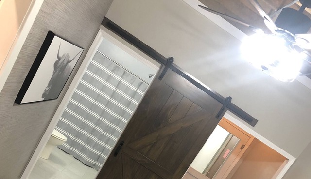 Newly renovated downtown flat