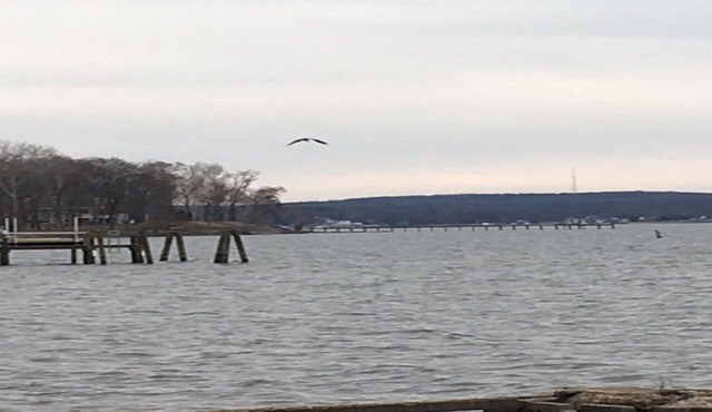 * NEWLY RENOVATED* Escape to a Beautiful Getaway on the Chesapeake Bay